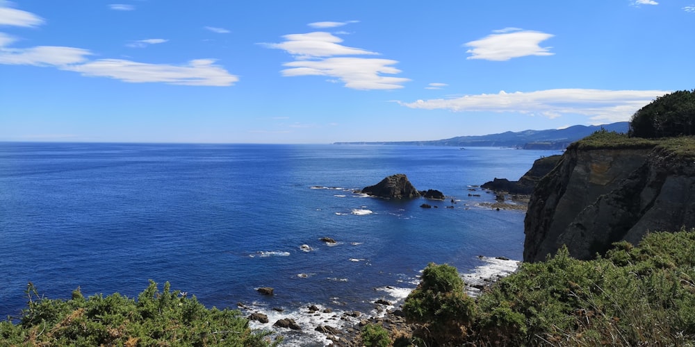 green trees near blue sea under blue sky during daytime