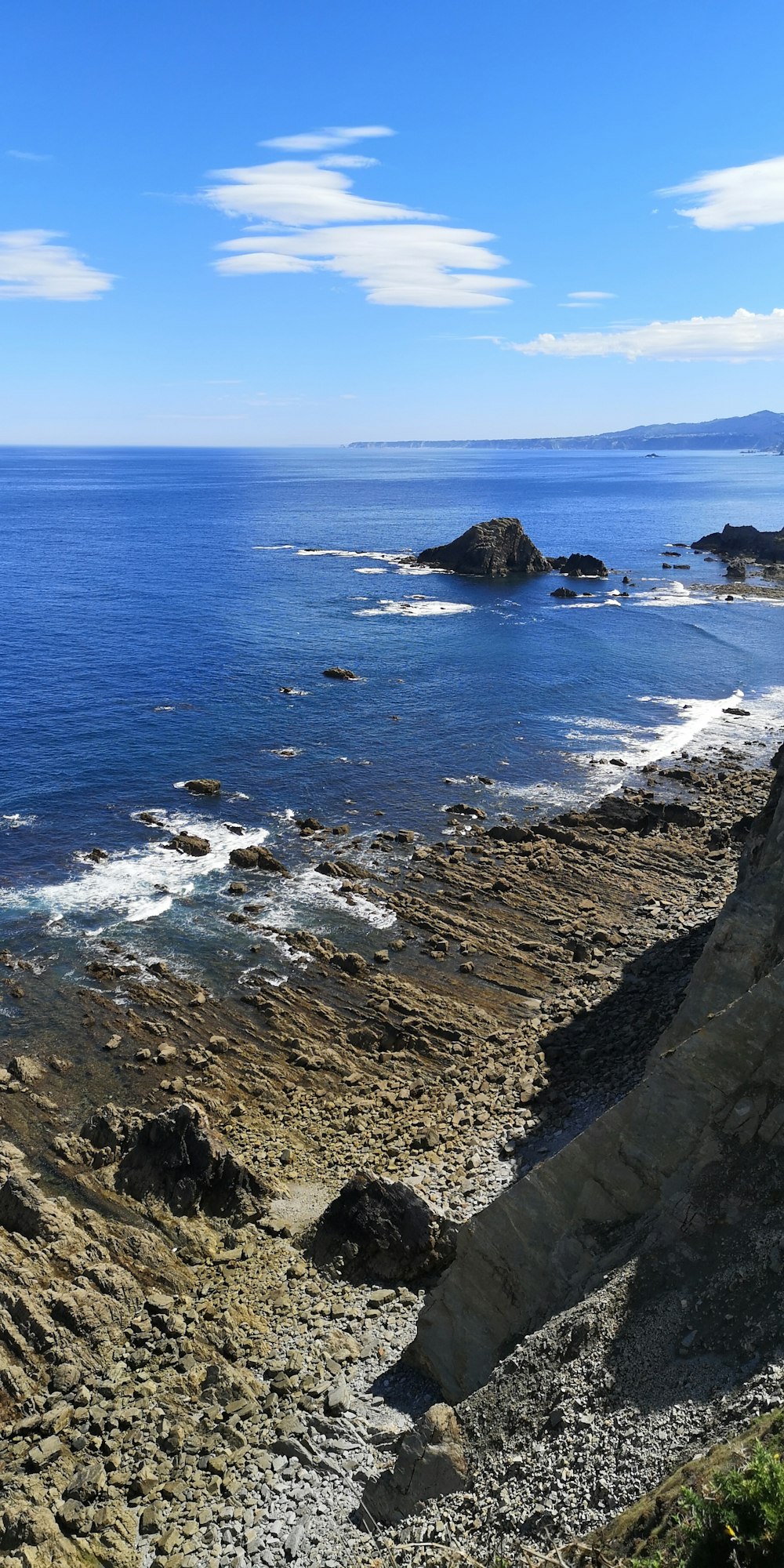 brown rocky shore during daytime