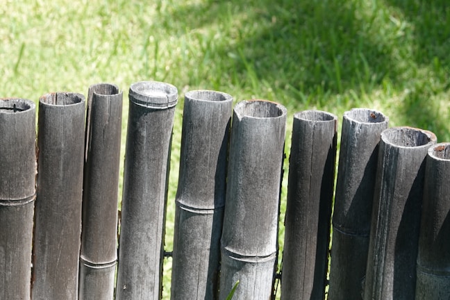 A row of vertically aligned pieces of bamboo stand close together, forming a simple barrier or fence. The bamboo is weathered and dark in color, set against a backdrop of lush, green grass that is brightly lit by sunlight.