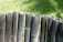 A row of vertically aligned pieces of bamboo stand close together, forming a simple barrier or fence. The bamboo is weathered and dark in color, set against a backdrop of lush, green grass that is brightly lit by sunlight.