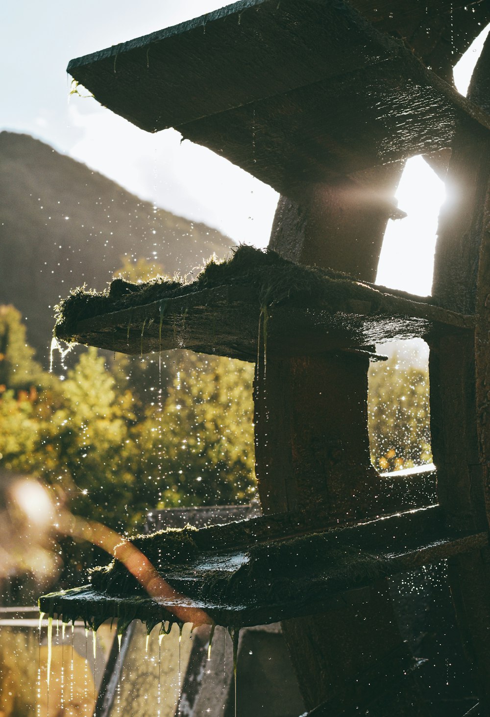 water droplets on brown wooden frame