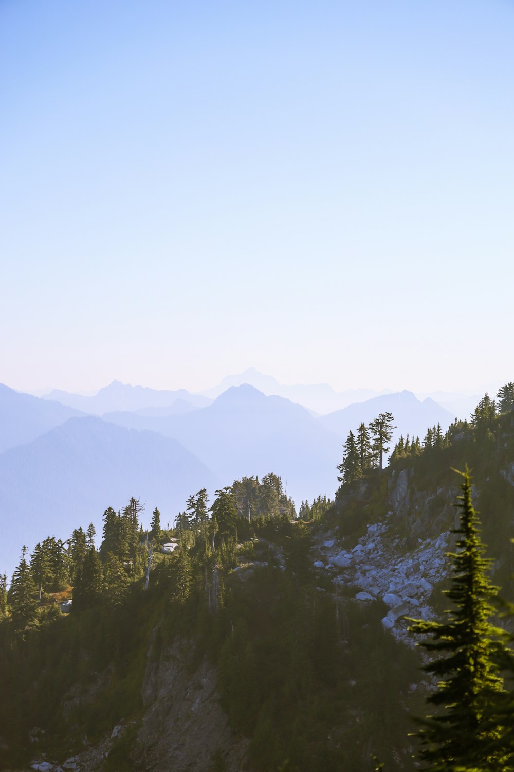 green trees on mountain during daytime