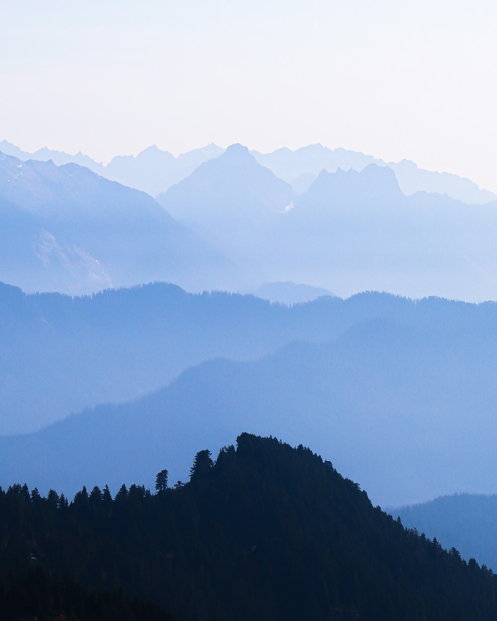 green trees on mountain during daytime