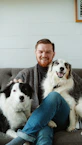man in gray sweater sitting beside black and white border collie