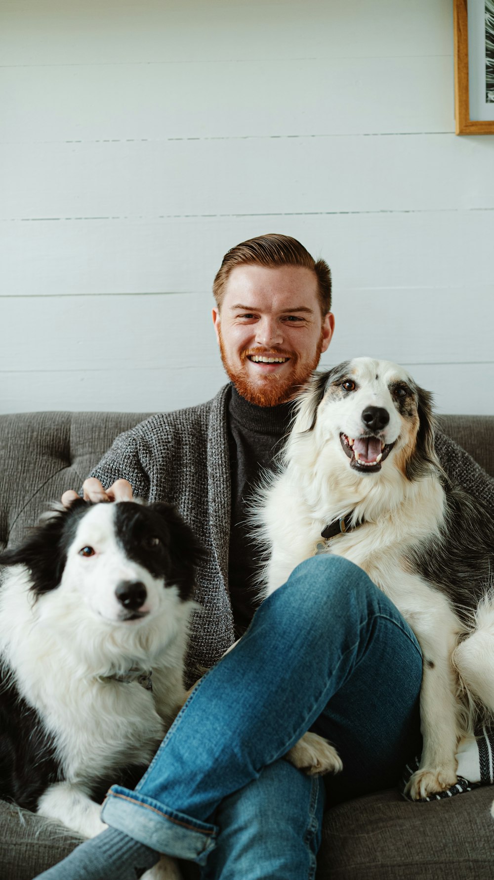 man in gray sweater sitting beside black and white border collie