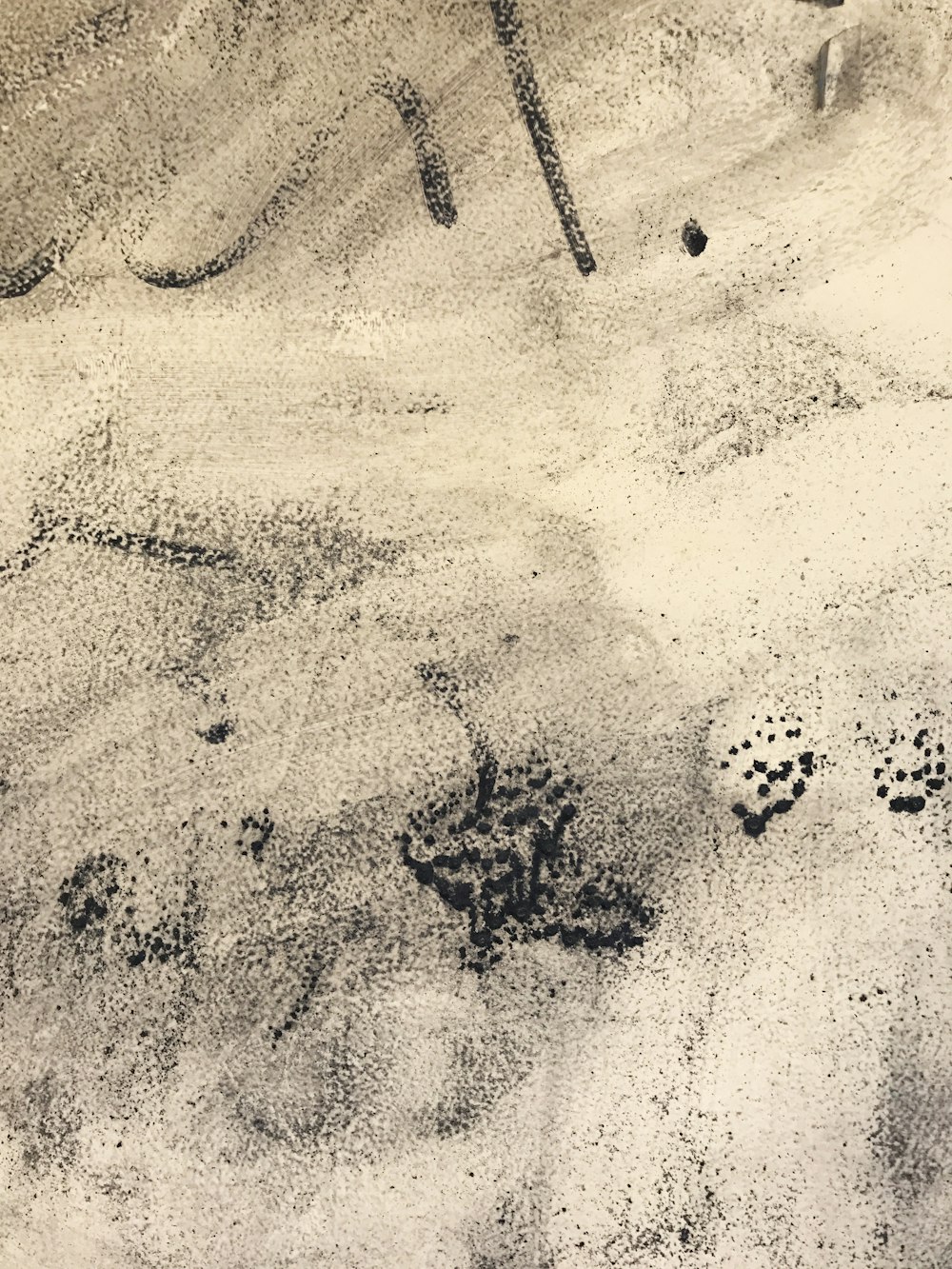 white and black paw print textile