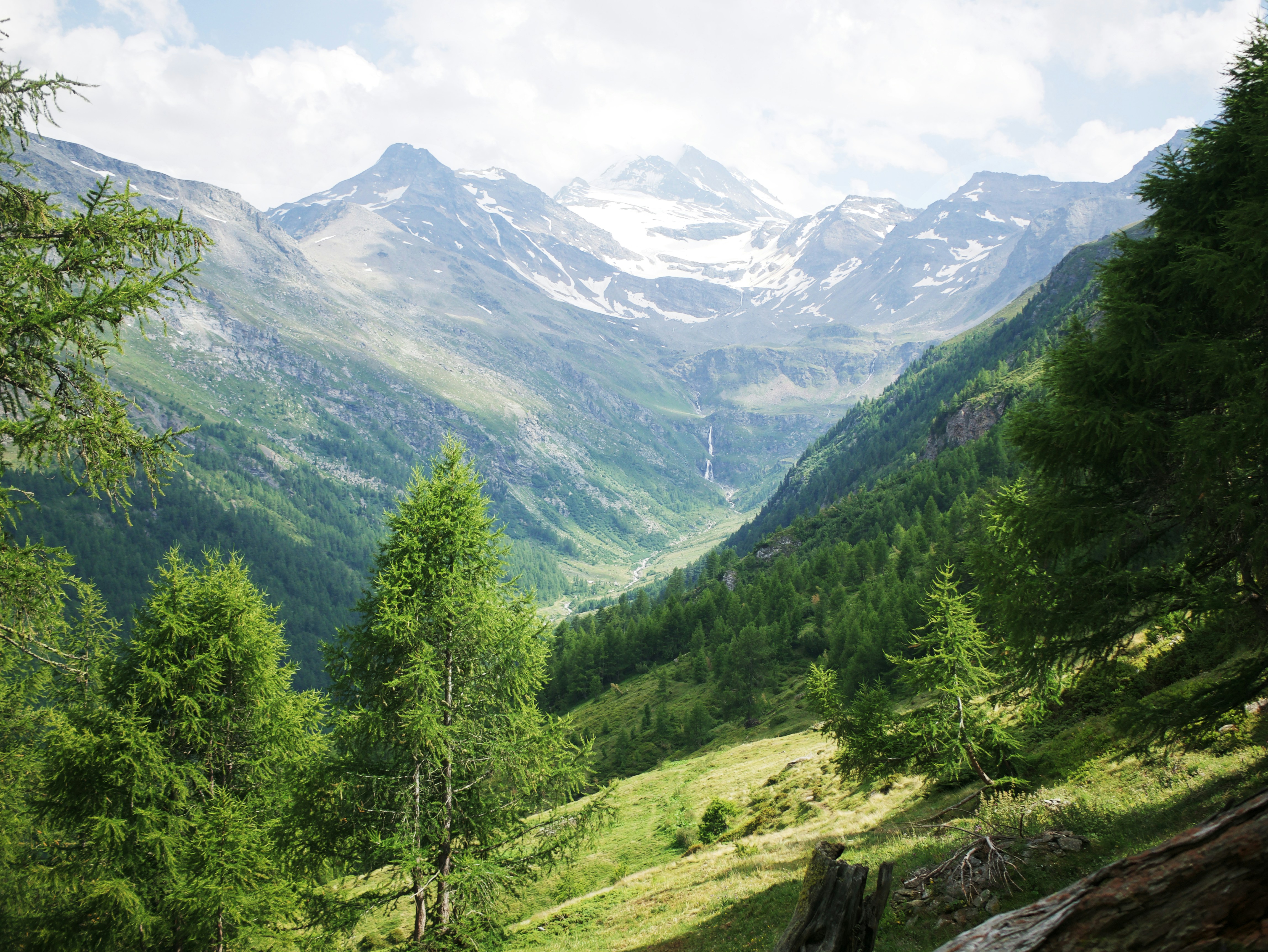 Photo by cameravince