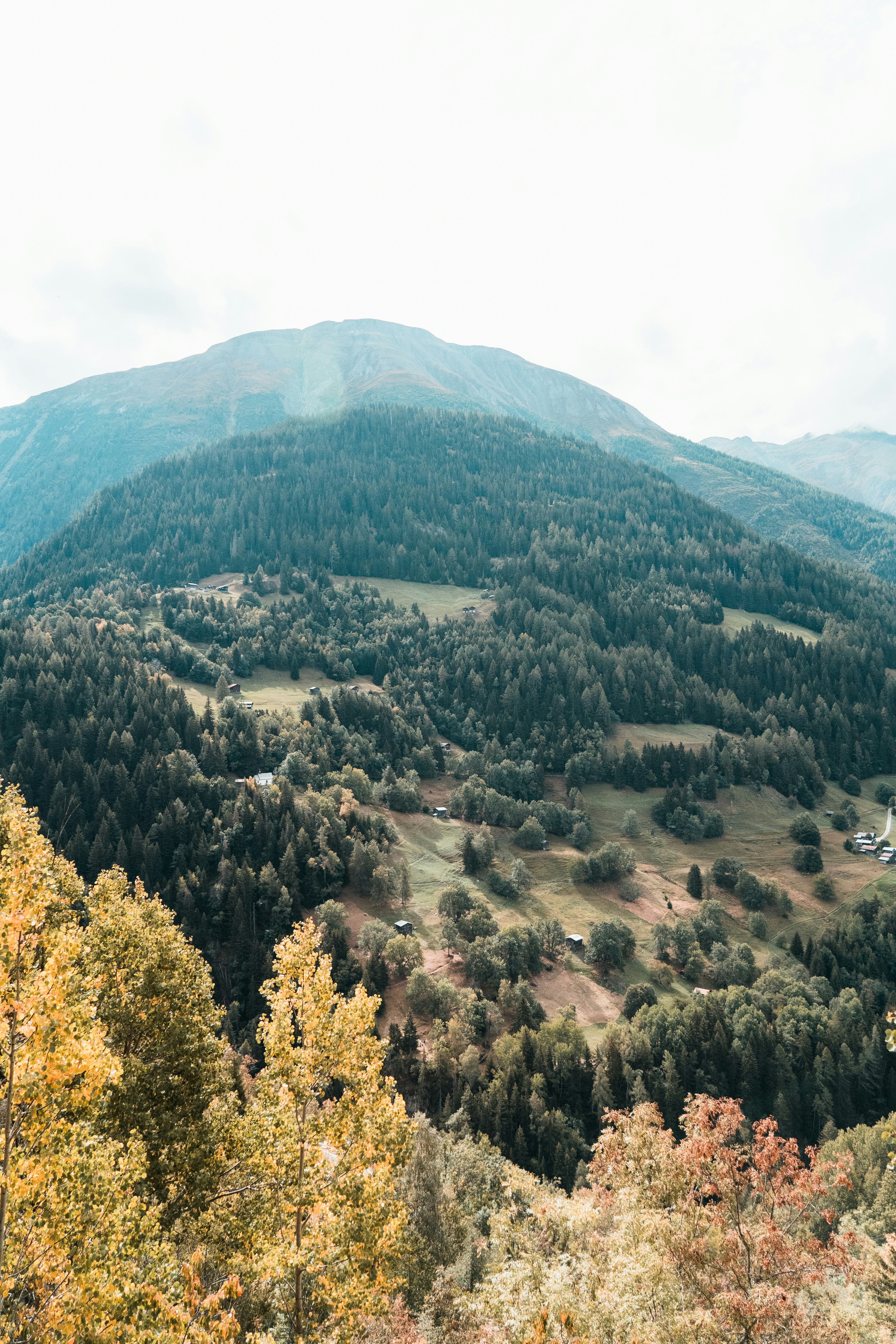 Photo by mitchelanneveldt