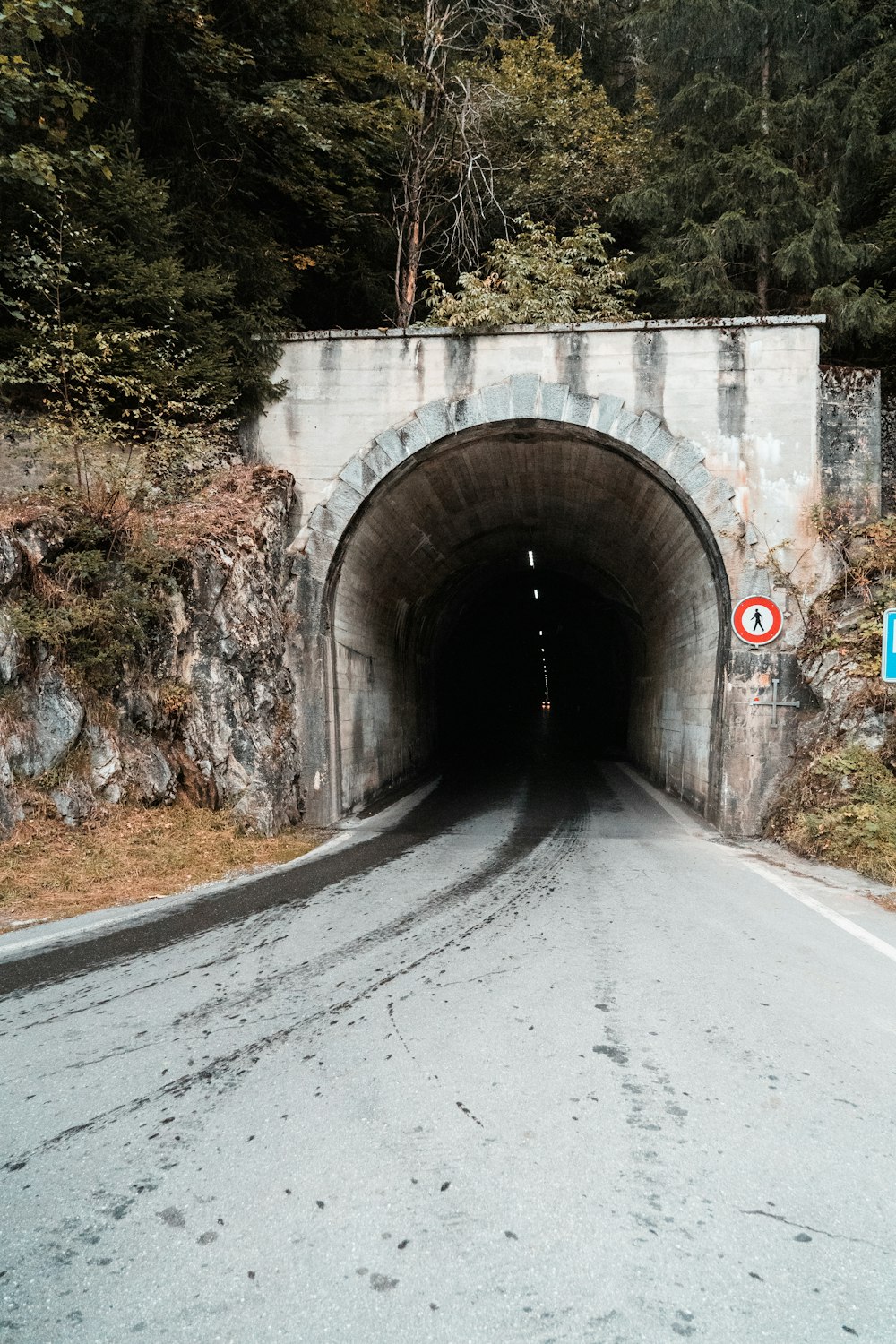 Tunnel en béton gris près des arbres pendant la journée