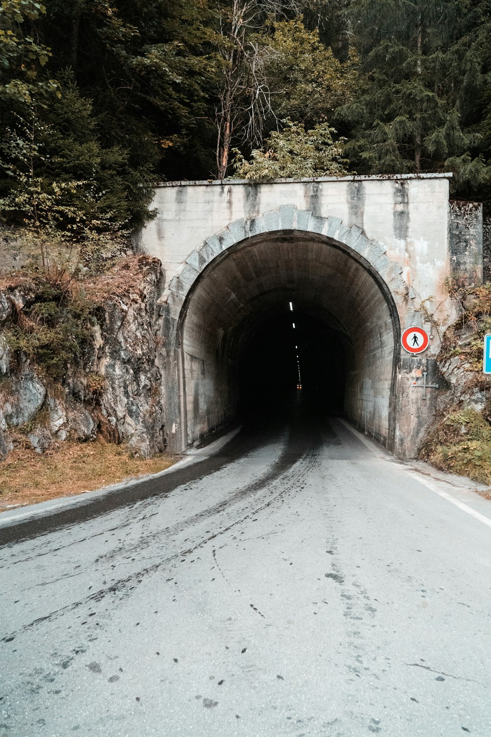 gray concrete tunnel near trees during daytime