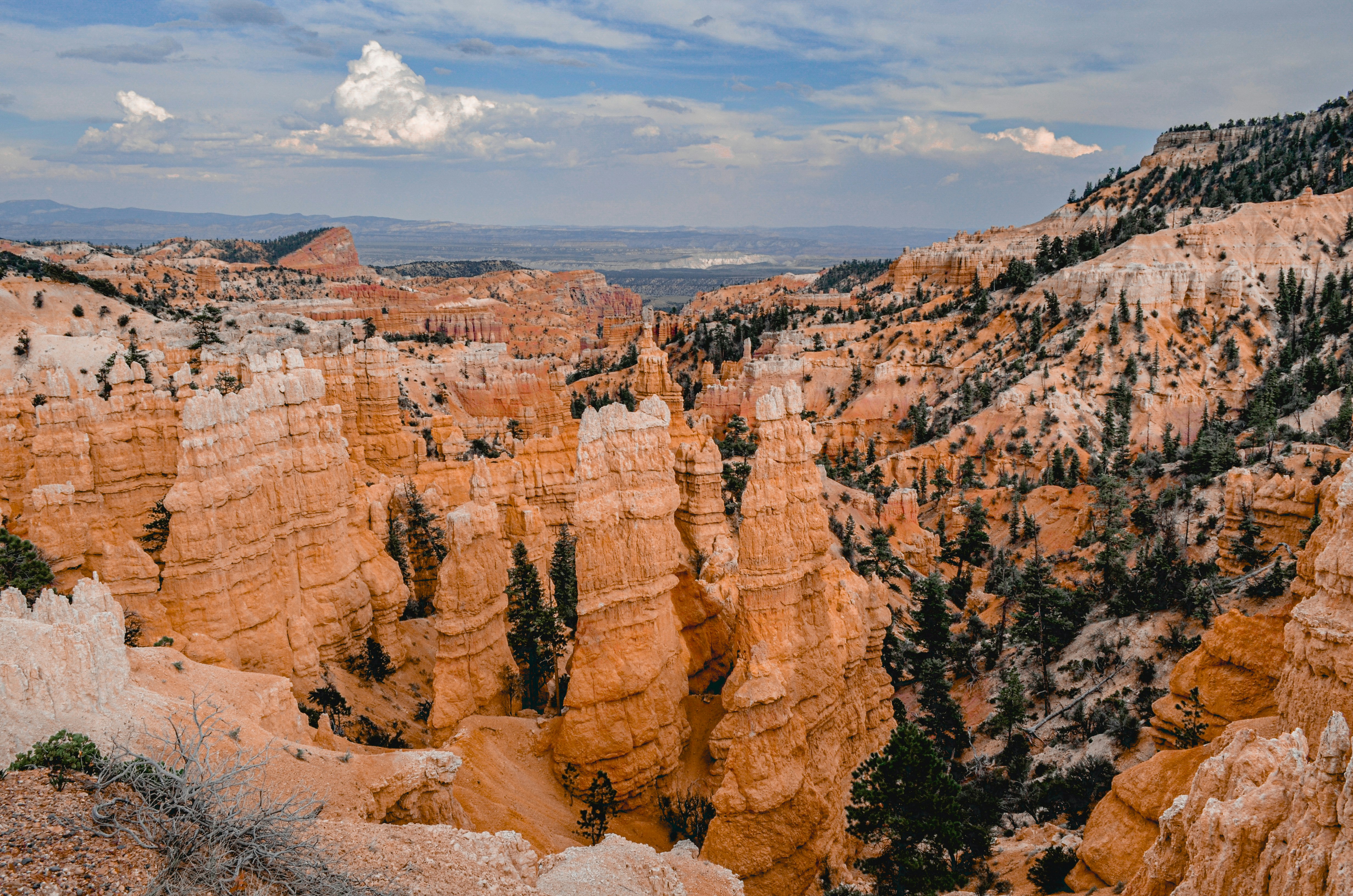 Photo by mike_van_den_bos