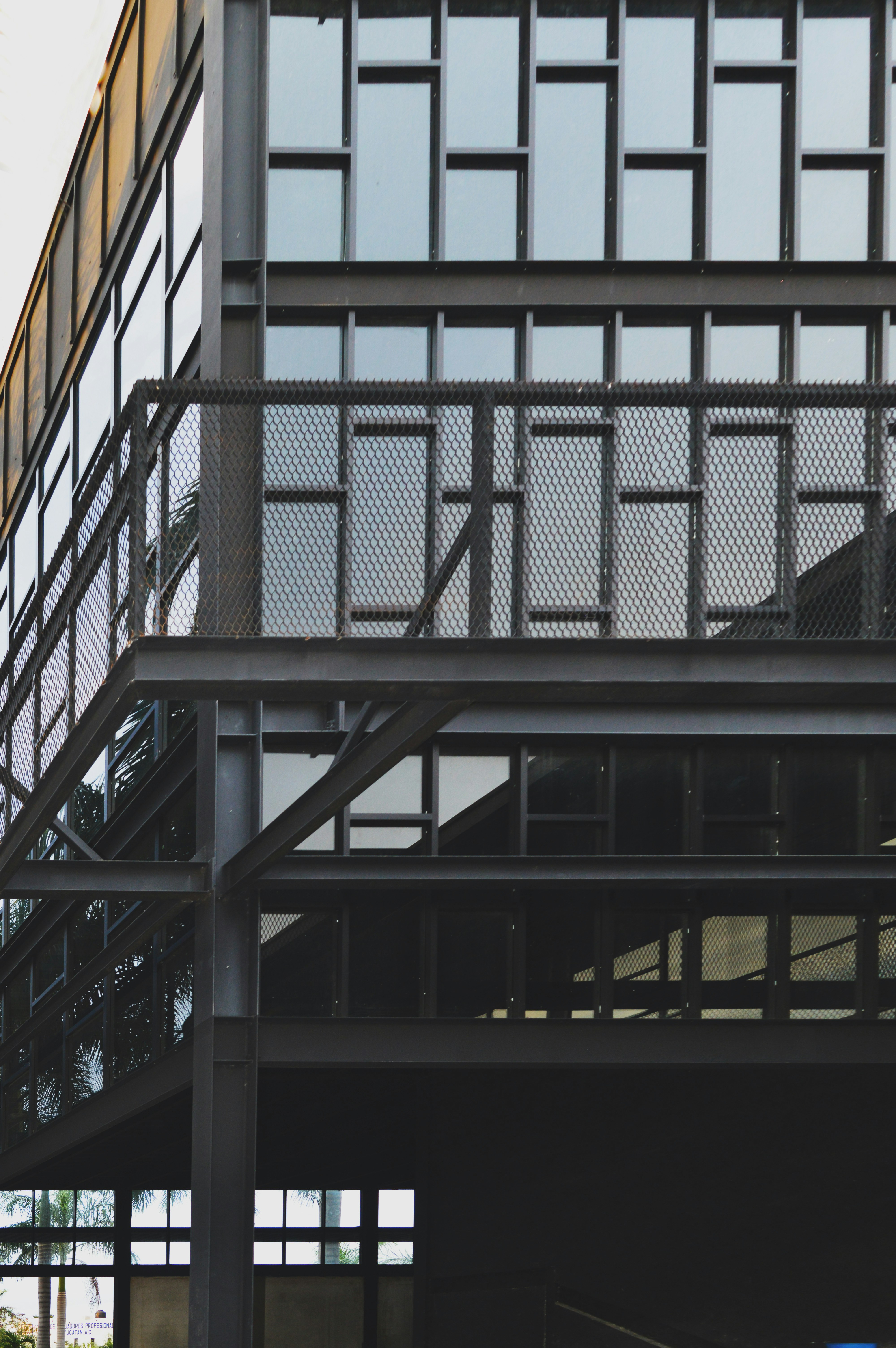 Photo by jorgezapatag