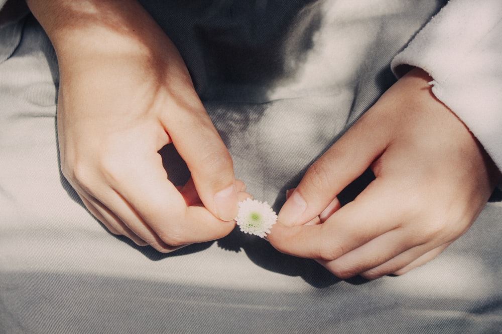 person holding white and green flower