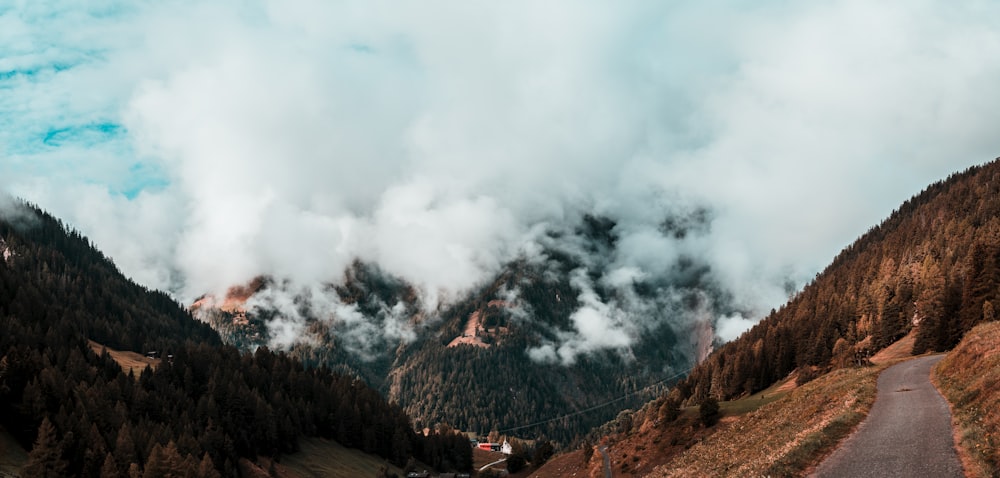 green trees near mountain under white clouds during daytime