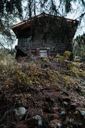 Rustic cabin nestled in dense forest surrounded by natural barriers.