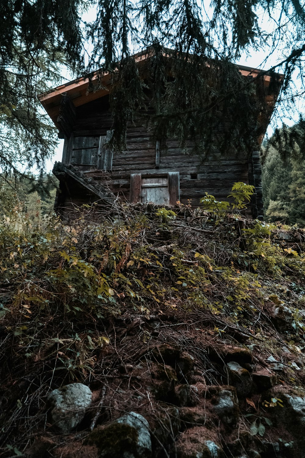 昼間は緑の木々のそばの茶色い木造住宅