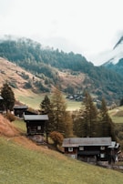 A serene mountain landscape features wooden cabins nestled on a grassy hillside. Dense evergreen forests cover the slopes in the background, with fog drifting among the trees. The scene exudes a peaceful and idyllic rural ambiance.