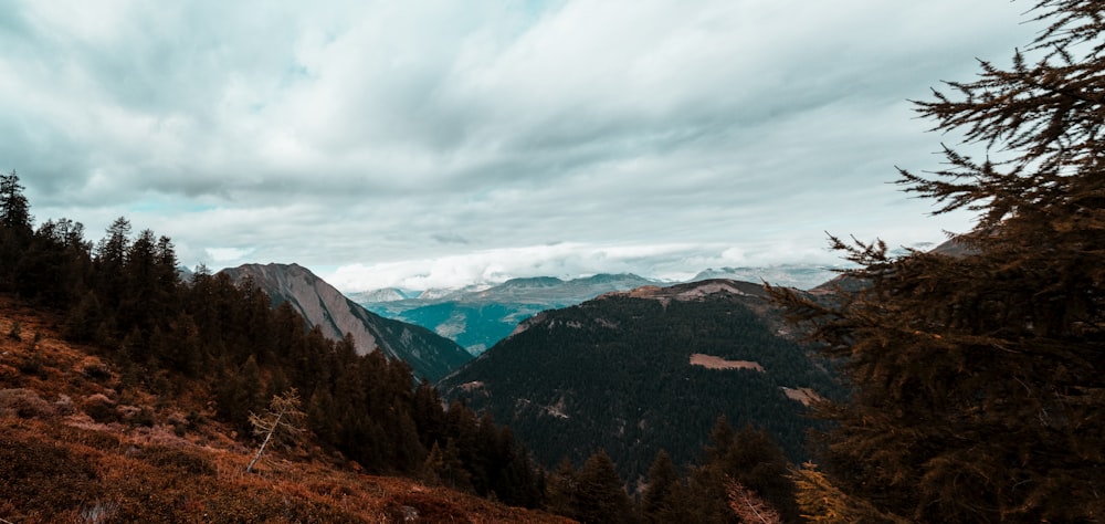 green trees near mountain under white clouds during daytime