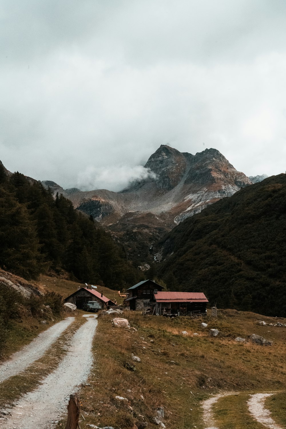 red and brown house near green trees and mountain during daytime