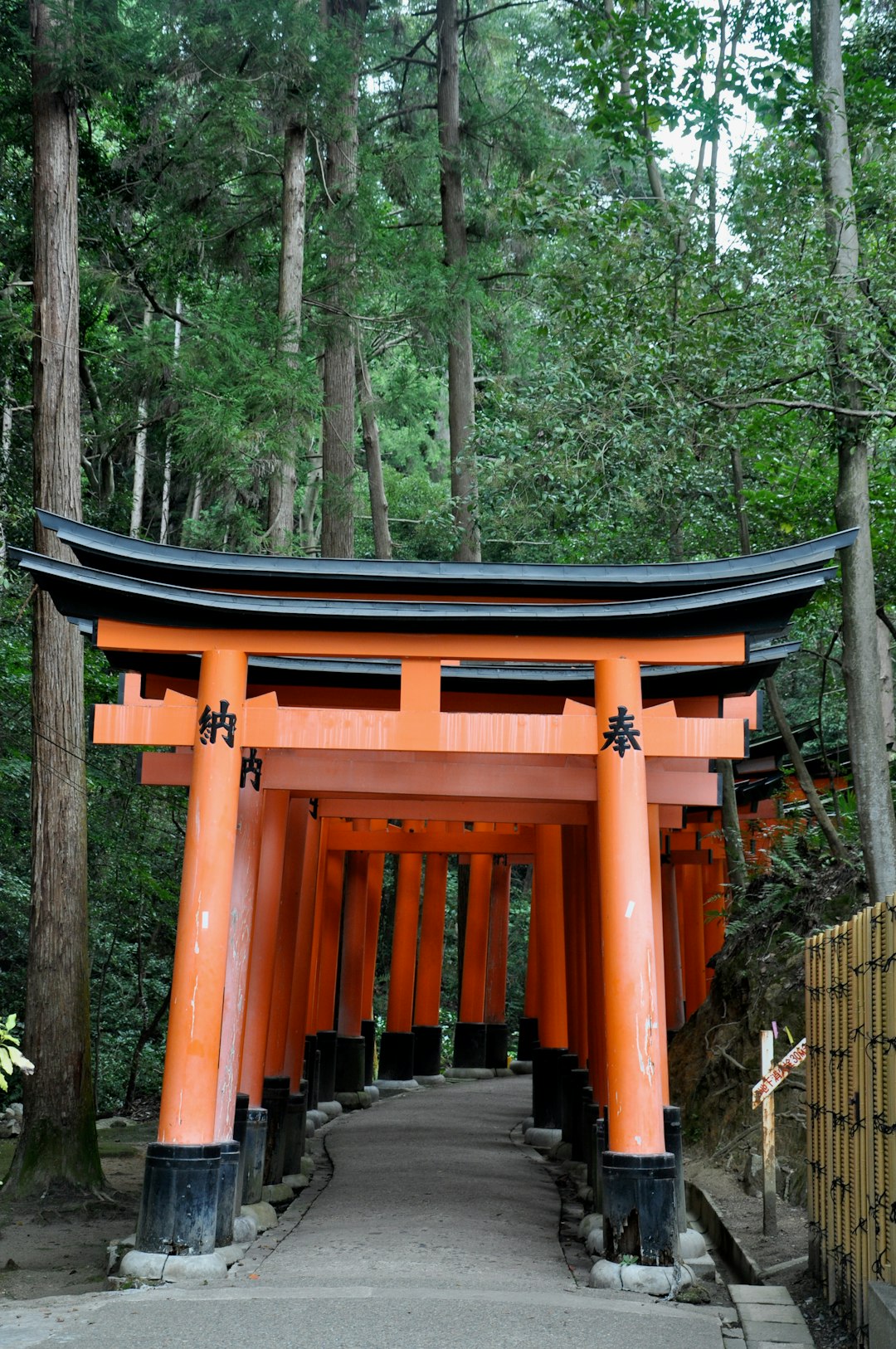 Place of worship photo spot Fushimi Inari Taisha Kiyomizu-dera