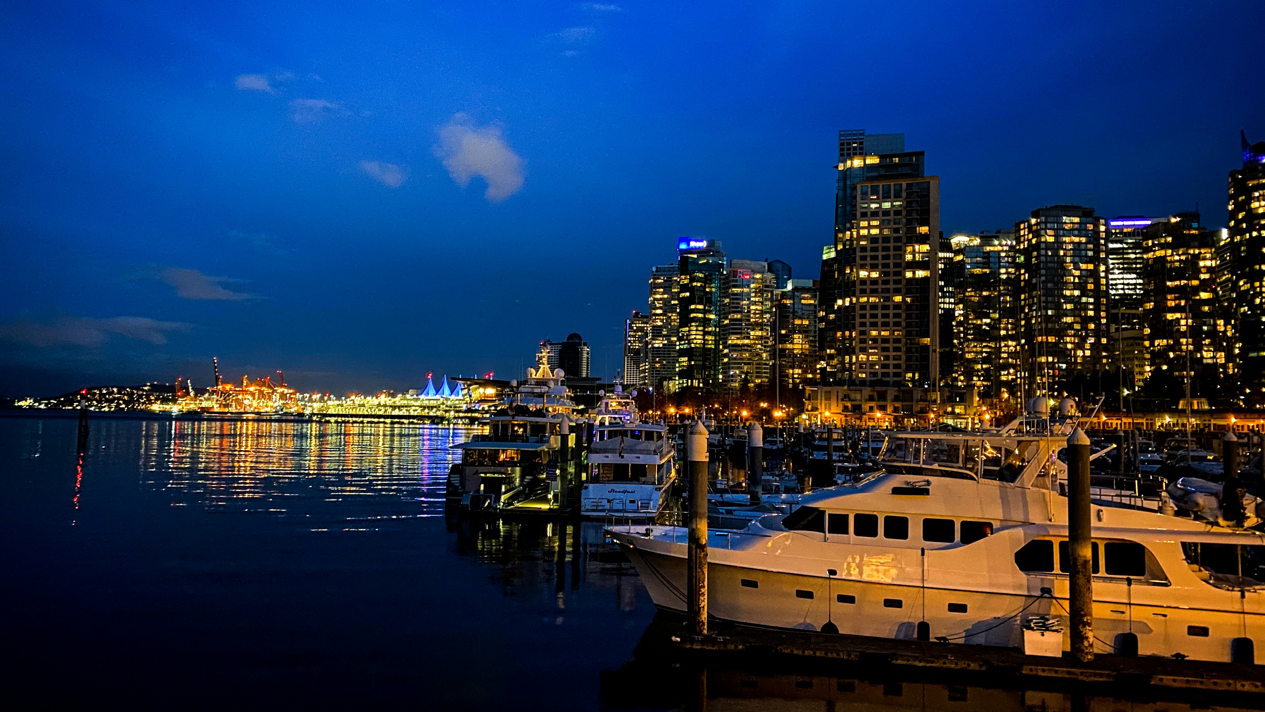 Fleet of luxury yachts docked at Dubai Harbour marina at sunset