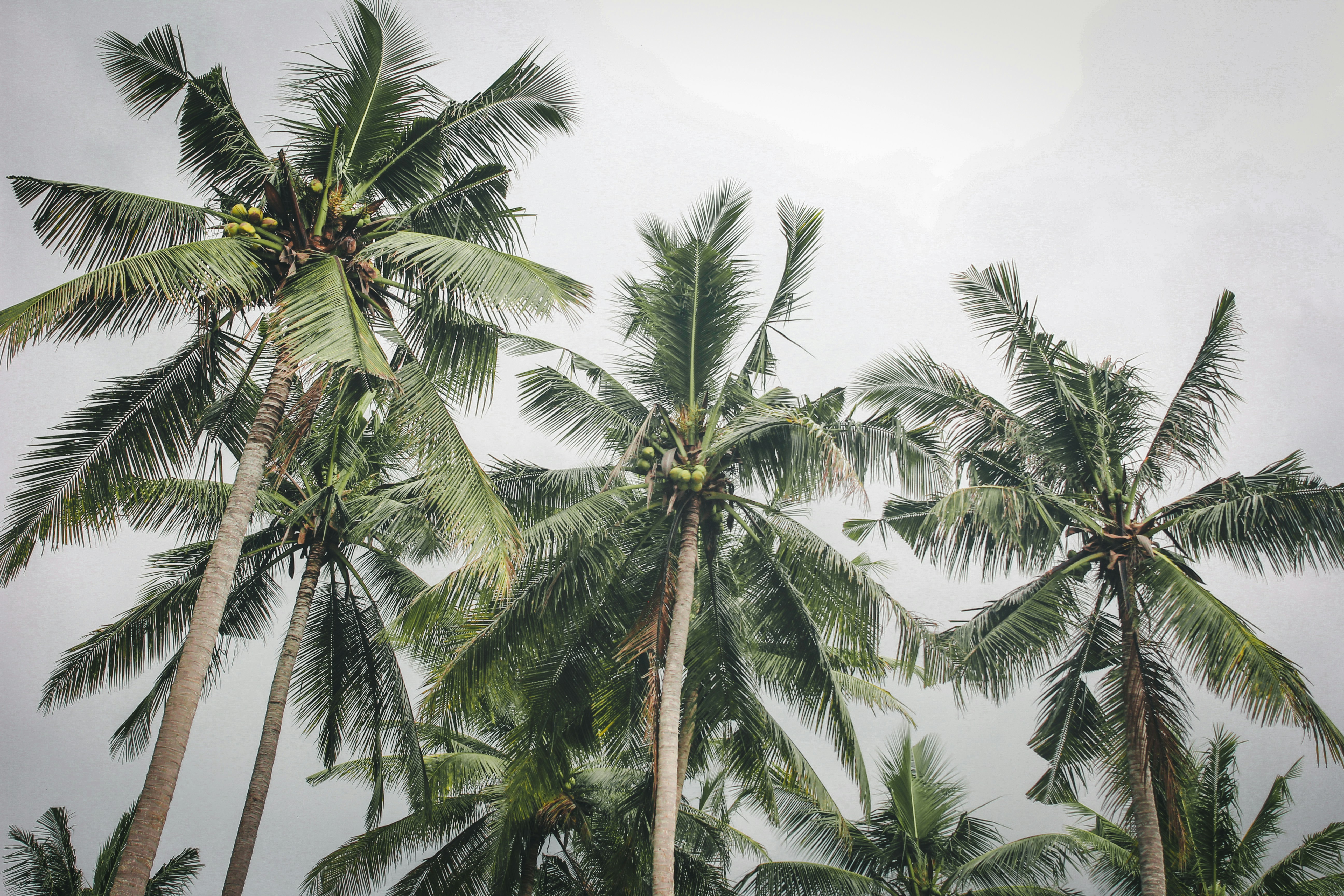 Photo by tylerdevine