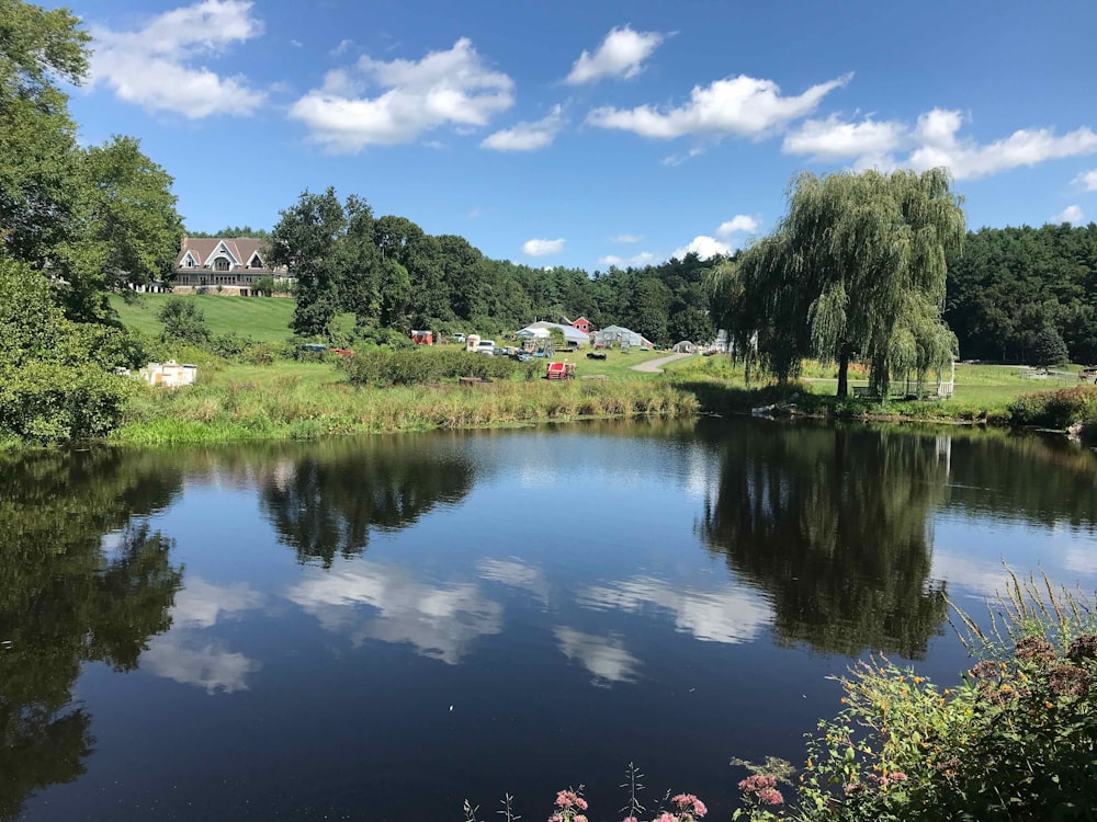 green trees near lake under blue sky during daytime