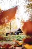 A cozy wooden cabin surrounded by autumn-colored trees under a soft sunset.