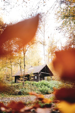 A cozy wooden cabin surrounded by autumn-colored trees under a soft sunset.