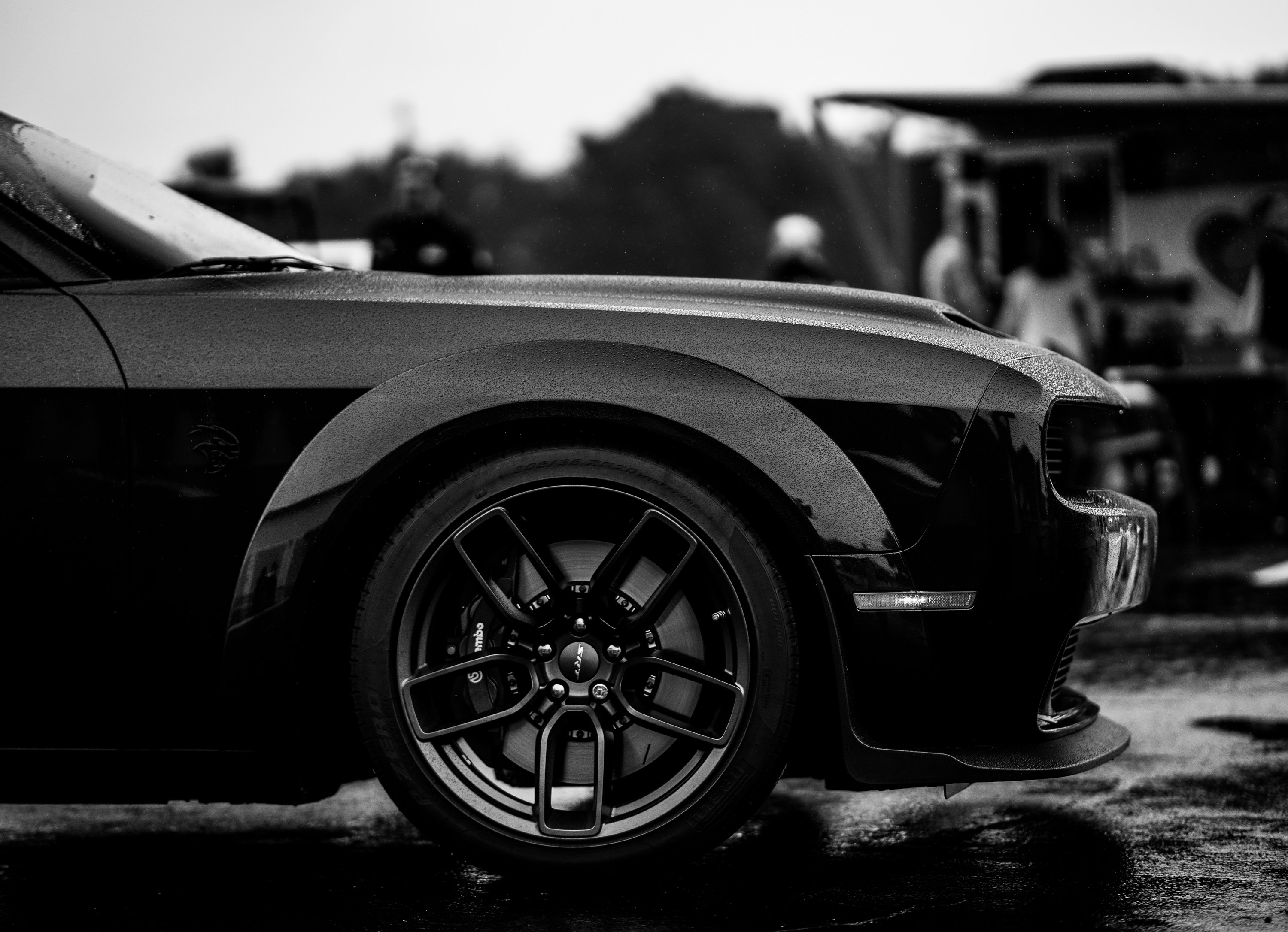 Photo by 535_productions