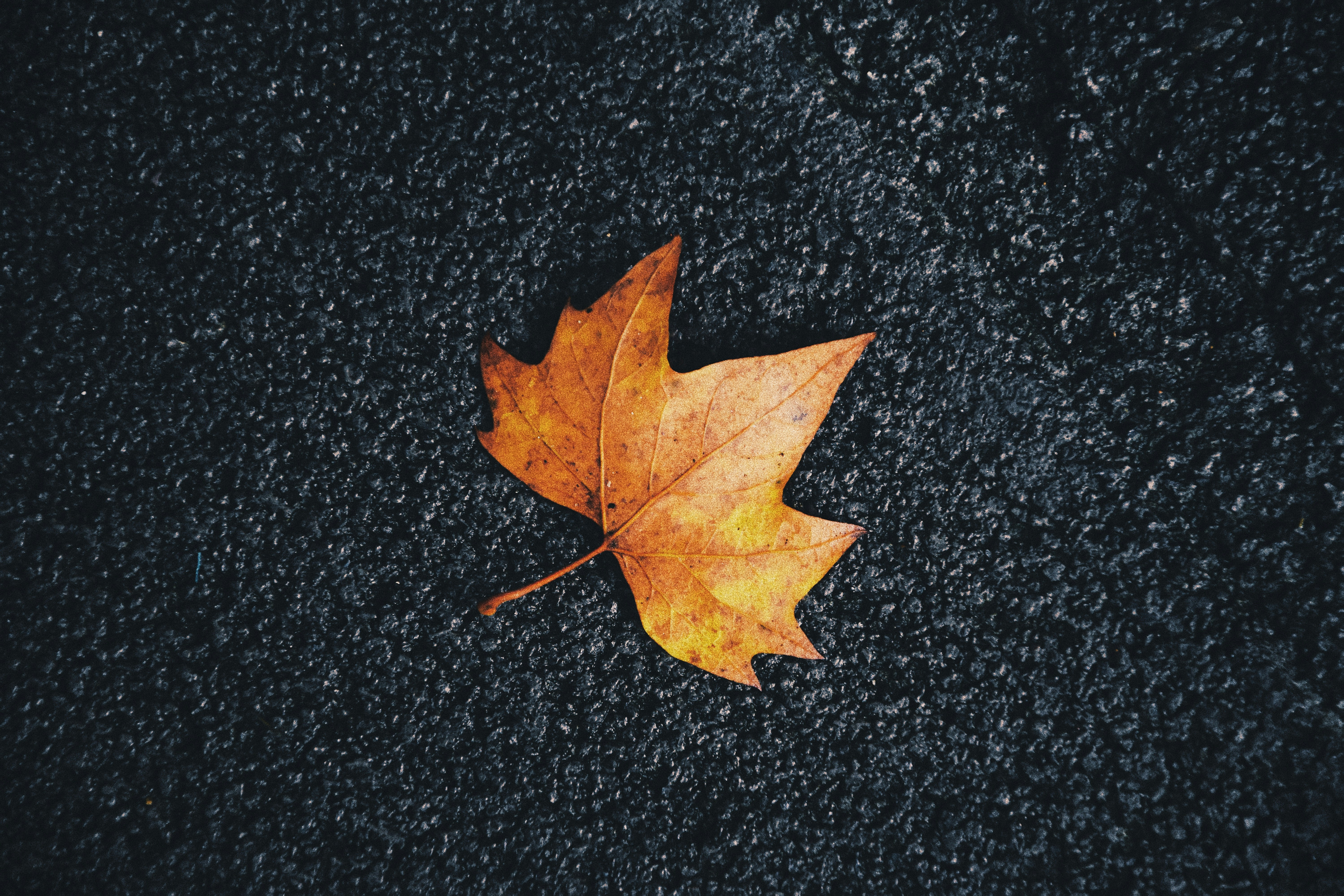 Photo by jizhidexiaohailang