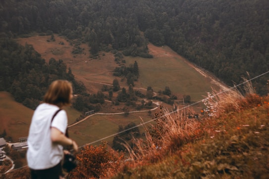 A person holding a camera is looking out over a vast and scenic landscape featuring a mix of grassy fields and dense forests. The scene includes a winding path cutting through the terrain, surrounded by lush greenery and patches of reddish-brown vegetation. The atmosphere suggests a serene, possibly outdoor hiking or nature exploration setting.