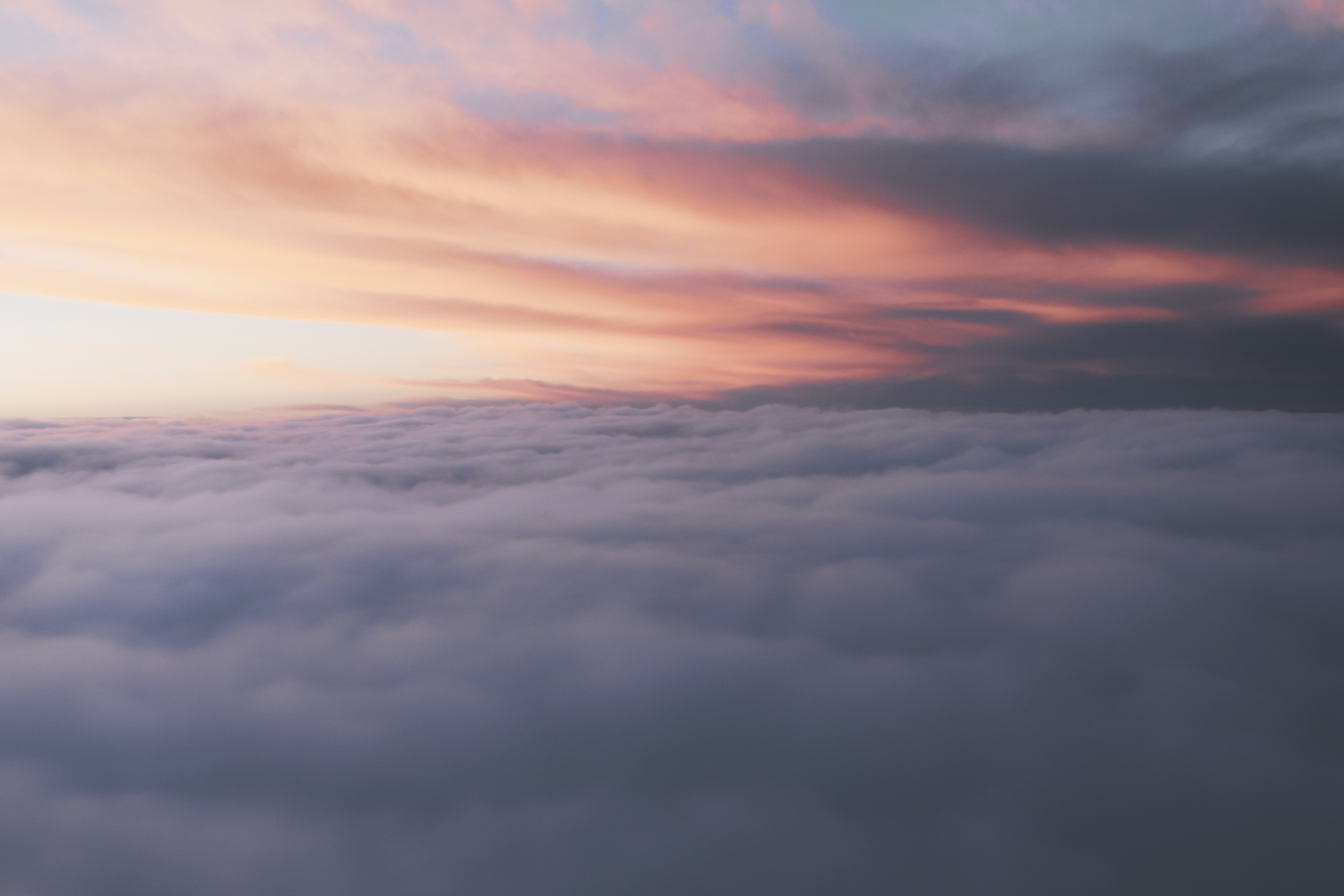 Photo by hybridheart