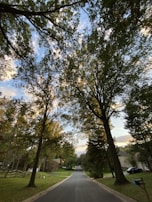 Peaceful neighborhood street framed by mature trees, typical of our Vijayawada listings.