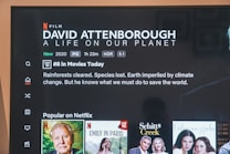 A screen displays the Netflix interface featuring a documentary titled 'David Attenborough: A Life on Our Planet'. It occupies the top section with details like film duration and rating, along with promotional text about environmental issues. Below, there is a 'Popular on Netflix' section showcasing three different titles with corresponding images.