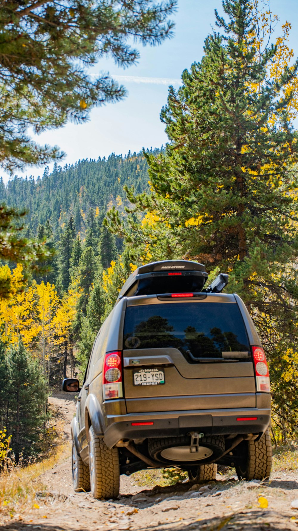 brown honda car on forest during daytime