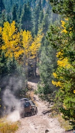 A rugged SUV driving through a forest trail with sunlight filtering through the trees.