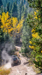 A rugged SUV driving through a forest trail with sunlight filtering through trees.