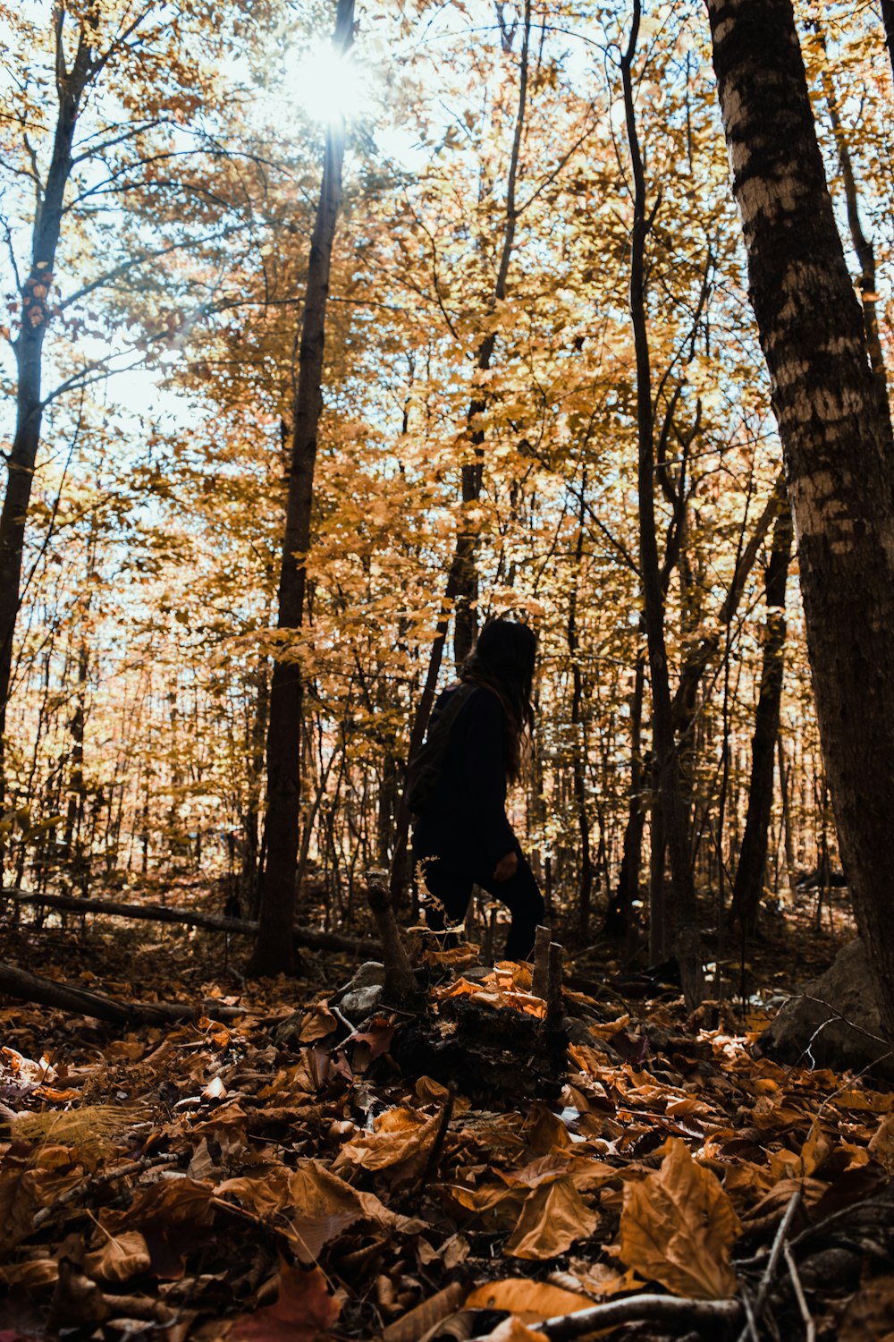 man in black jacket standing on brown dried leaves under trees during daytime