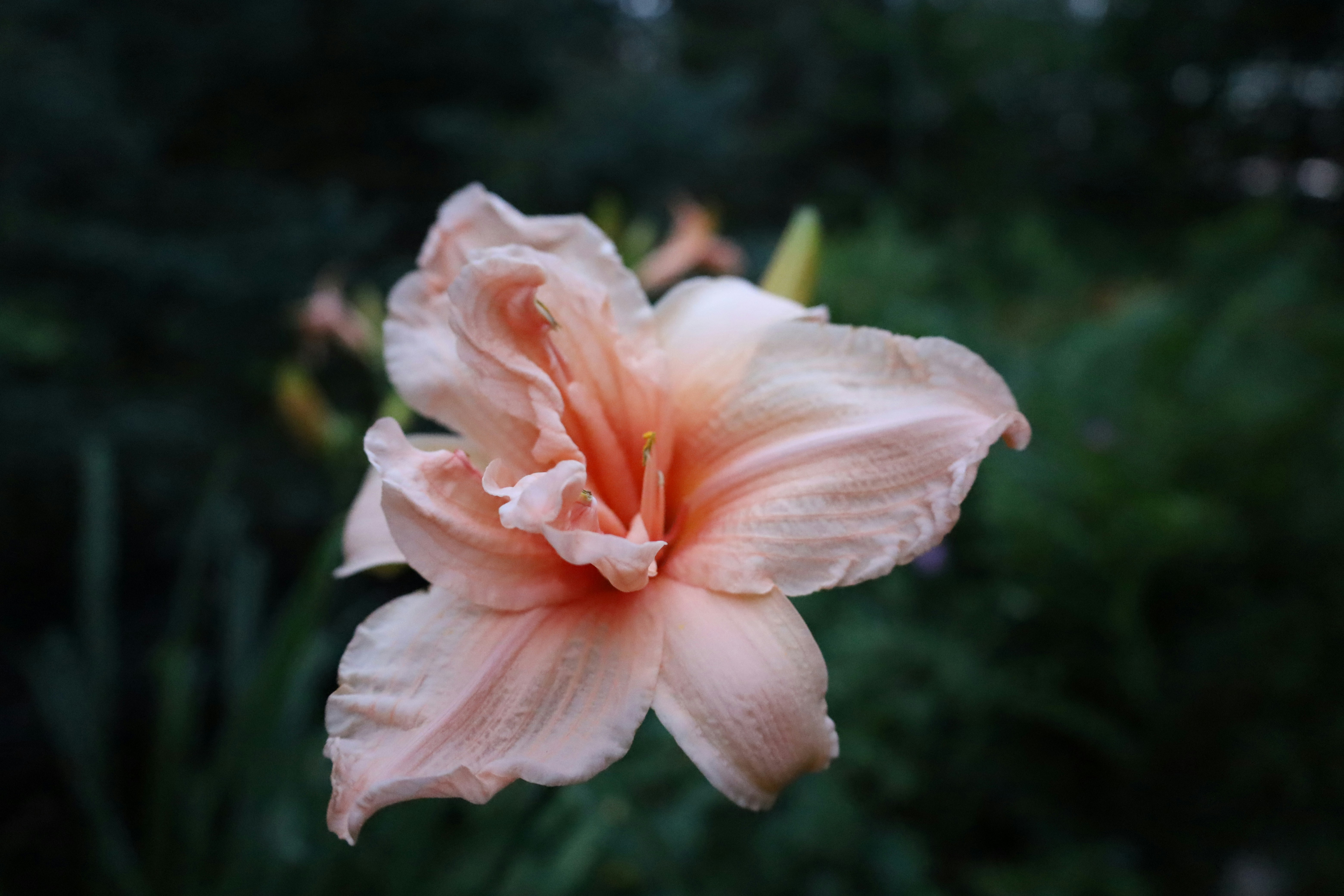 Photo by andrewdarlington