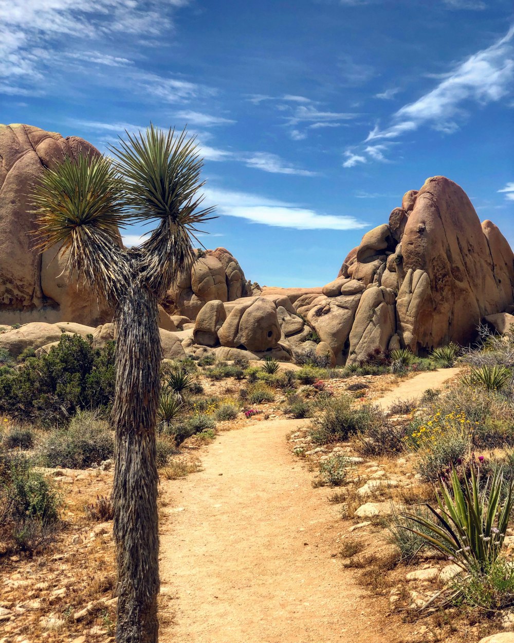 brown rock formation near green grass under blue sky during daytime