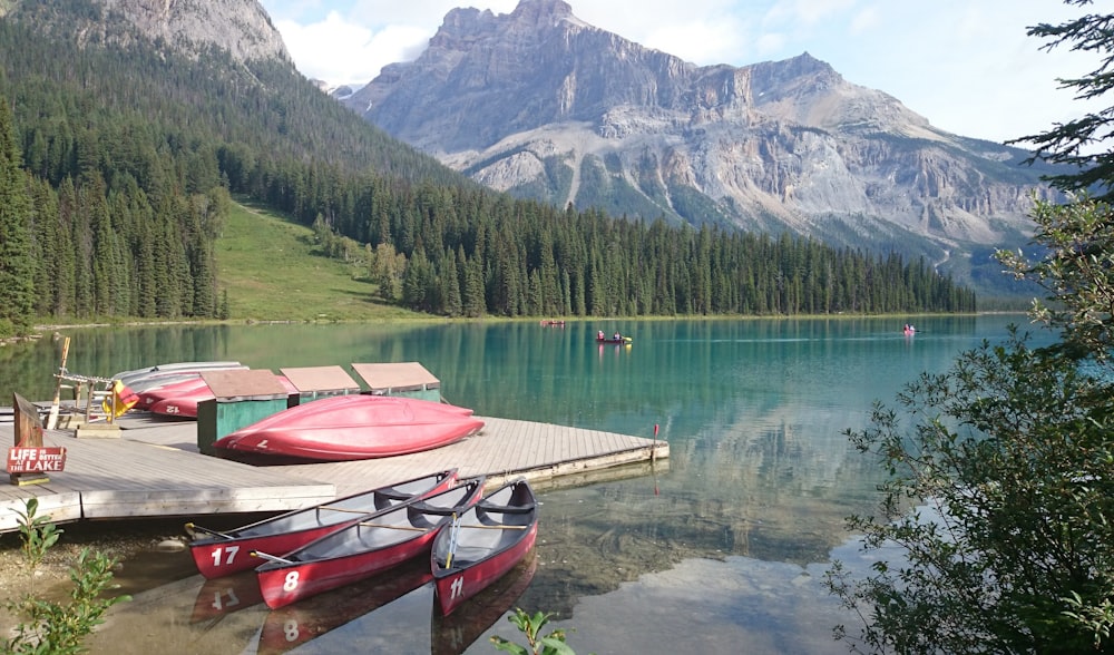 red and white boat on lake near green trees and mountain during daytime