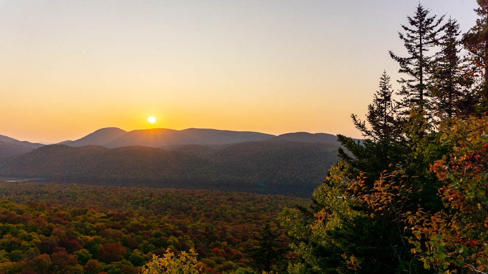 Grüne Bäume auf dem Berg während des Sonnenuntergangs