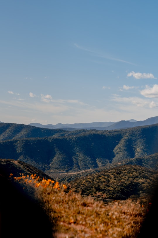 brown and green mountains under blue sky during daytime in Padre Hurtado Chile