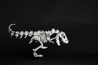 Close-up of detailed wooden dinosaur ribs and spine pieces fitting perfectly together.