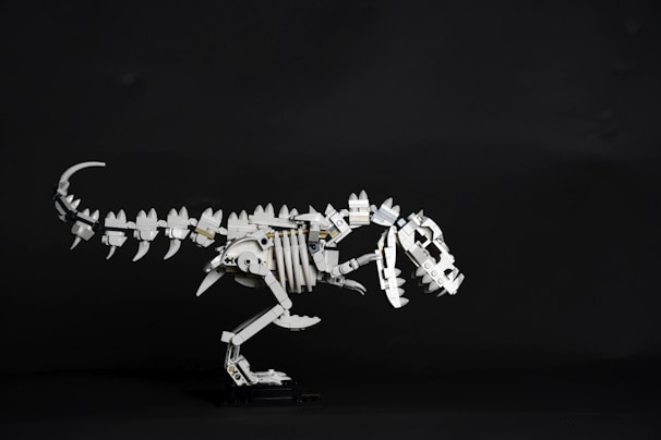 Close-up of detailed wooden dinosaur ribs and spine pieces fitting perfectly together.