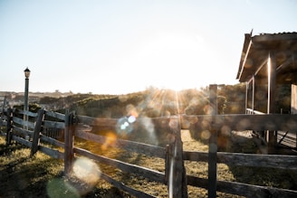 A wooden fence lines a grassy area, with the sun shining brightly in the background, creating lens flares. A lamp post stands to the left, and part of a wooden structure is visible to the right.