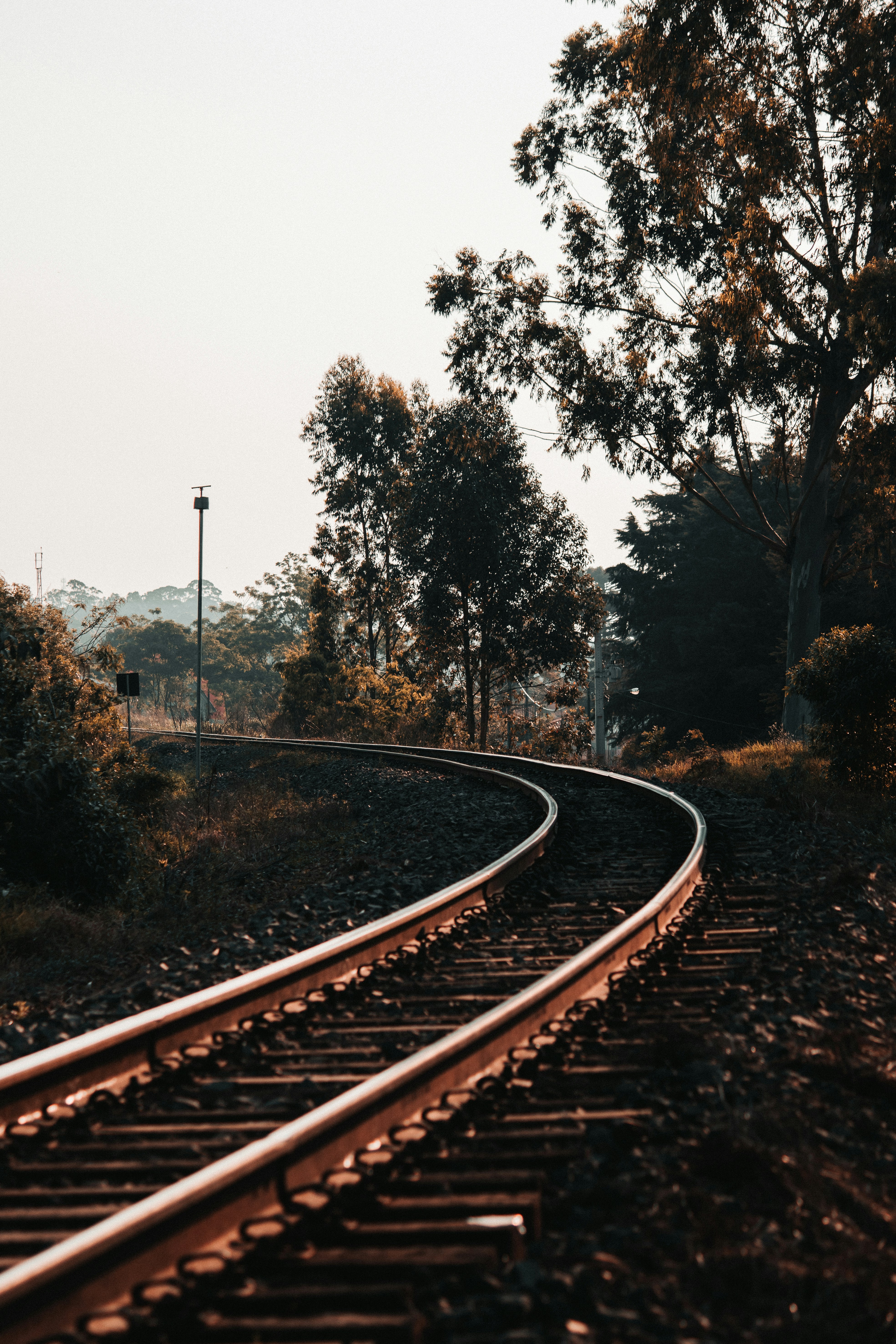 Photo by eduschadesoares