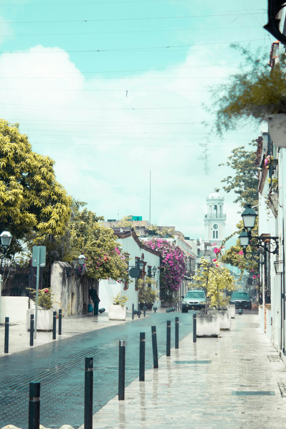 green trees near buildings during daytime