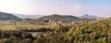 A serene rural landscape featuring green fields and distant mountains.